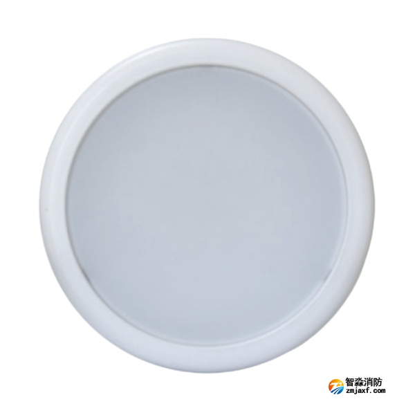 云南海灣HW-ZFJC-E9W-N657集中電源集中控制型消防應急照明燈具